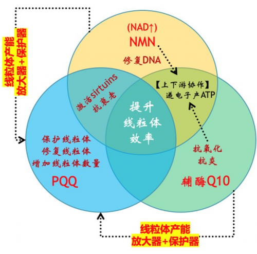 微信图片_20210603102256