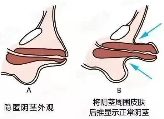 微信截图_20220608133643