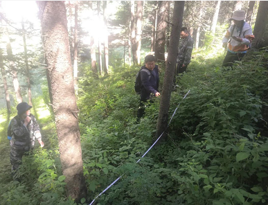 芦芽山保护区种质资源生长状况良好