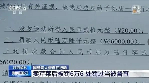 卖5斤芹菜被罚6.6万？国务院督查组质问当地领导