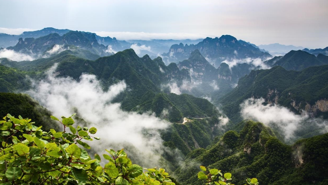 山西蟒河：王屋与太行山脚的乡村振兴，一场“跳出来”的“坚守”