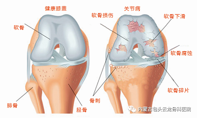 微信图片_20230815160723