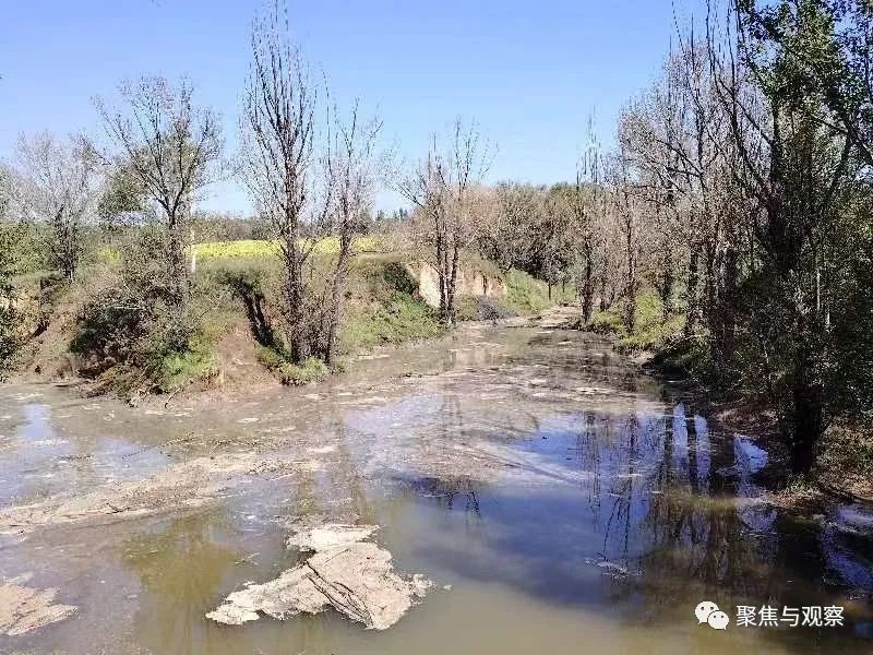 谁在纵容山西大同一化工厂危废水排入耕地致寸草不生