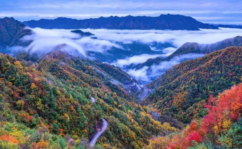 山西左权县委书记石勇赴重庆市城口县参加中国西南国际写生基地开营仪式