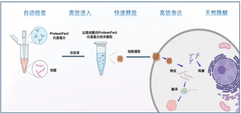 微信截图_20241031101344