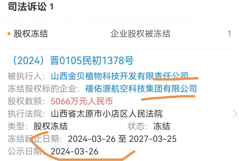 山西禧佑源航空科技集团董事长股权被冻结 股东疑似在内讧