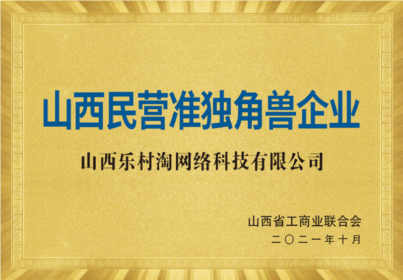 10、山西民营准独角兽企业